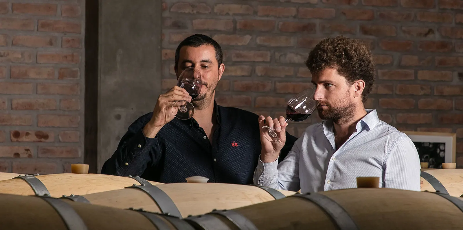 Degustación de vino sobre las barricas, en la sala de crianza