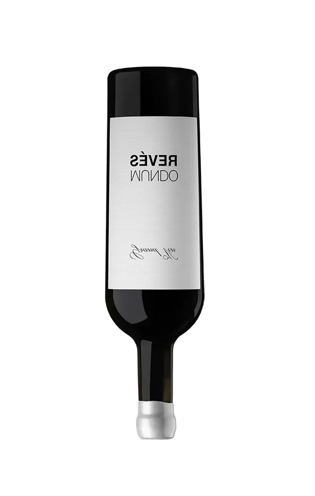 Botella Mundo Revés Grand Vin